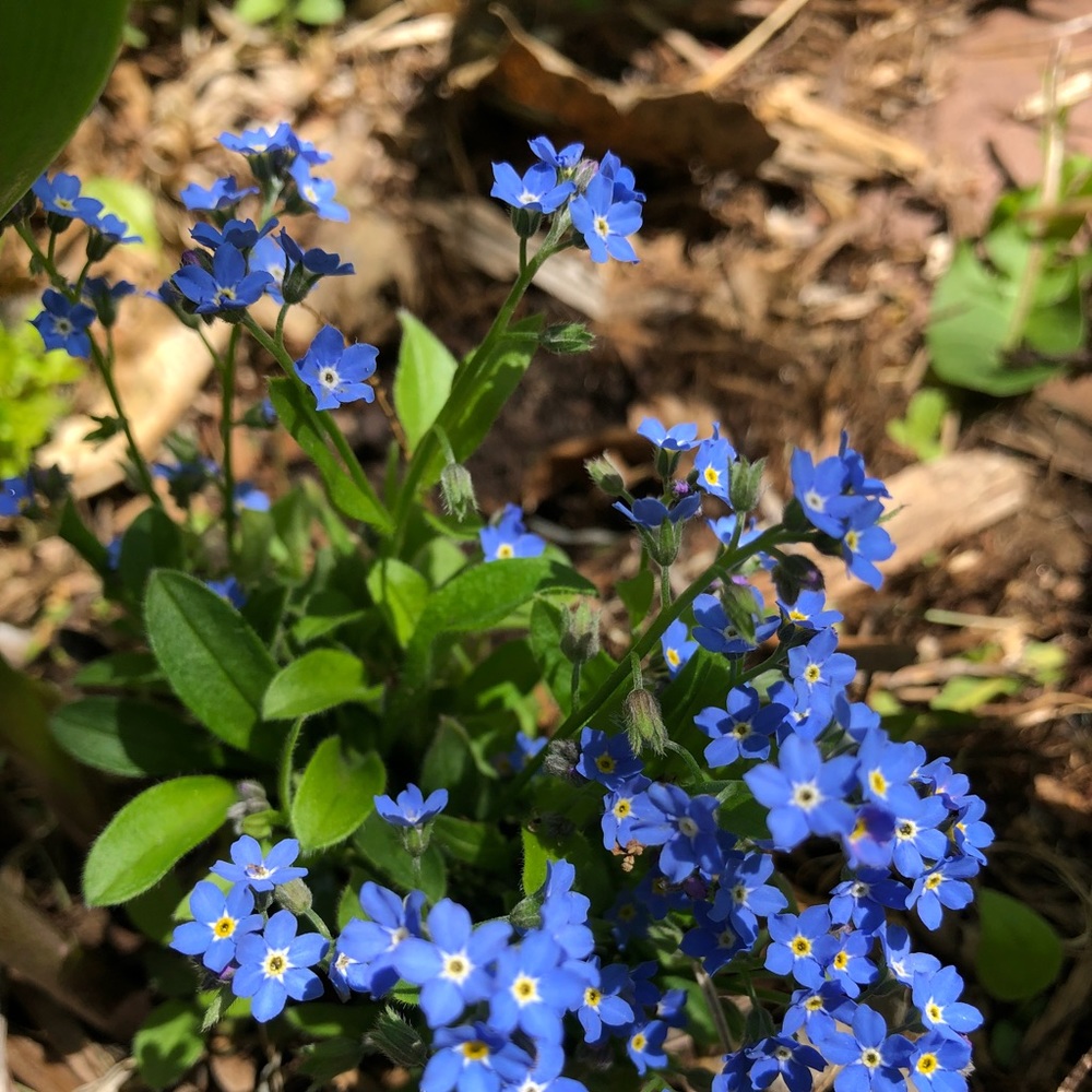 Meet your Posher, Barb